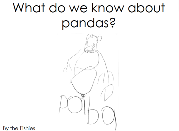what we know about pandas | via provocations and play